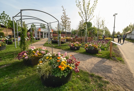 LAGANeuss26_Baumschulen_Gartenbau__c_MarkusvanOffern_klein
